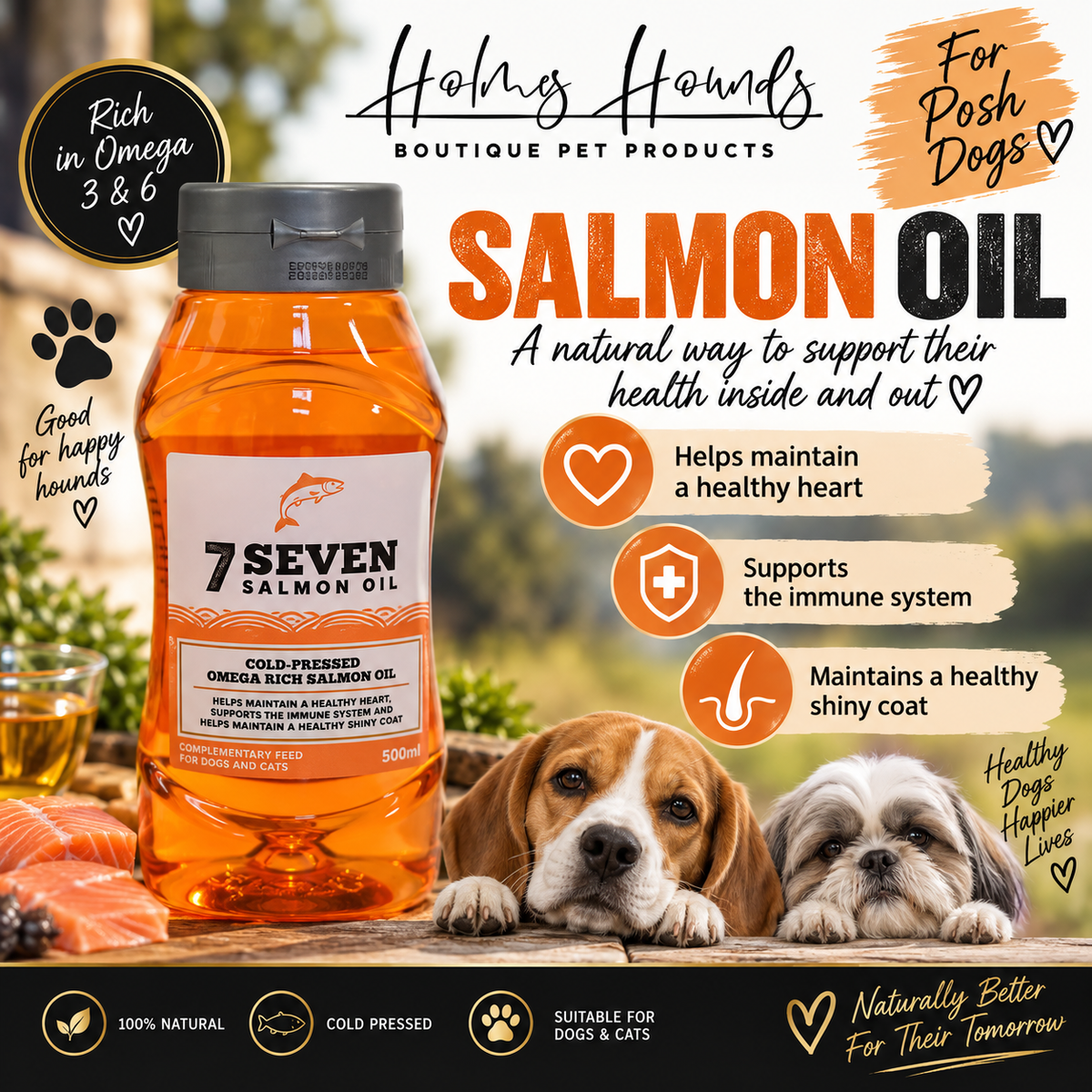 Salmon Oil