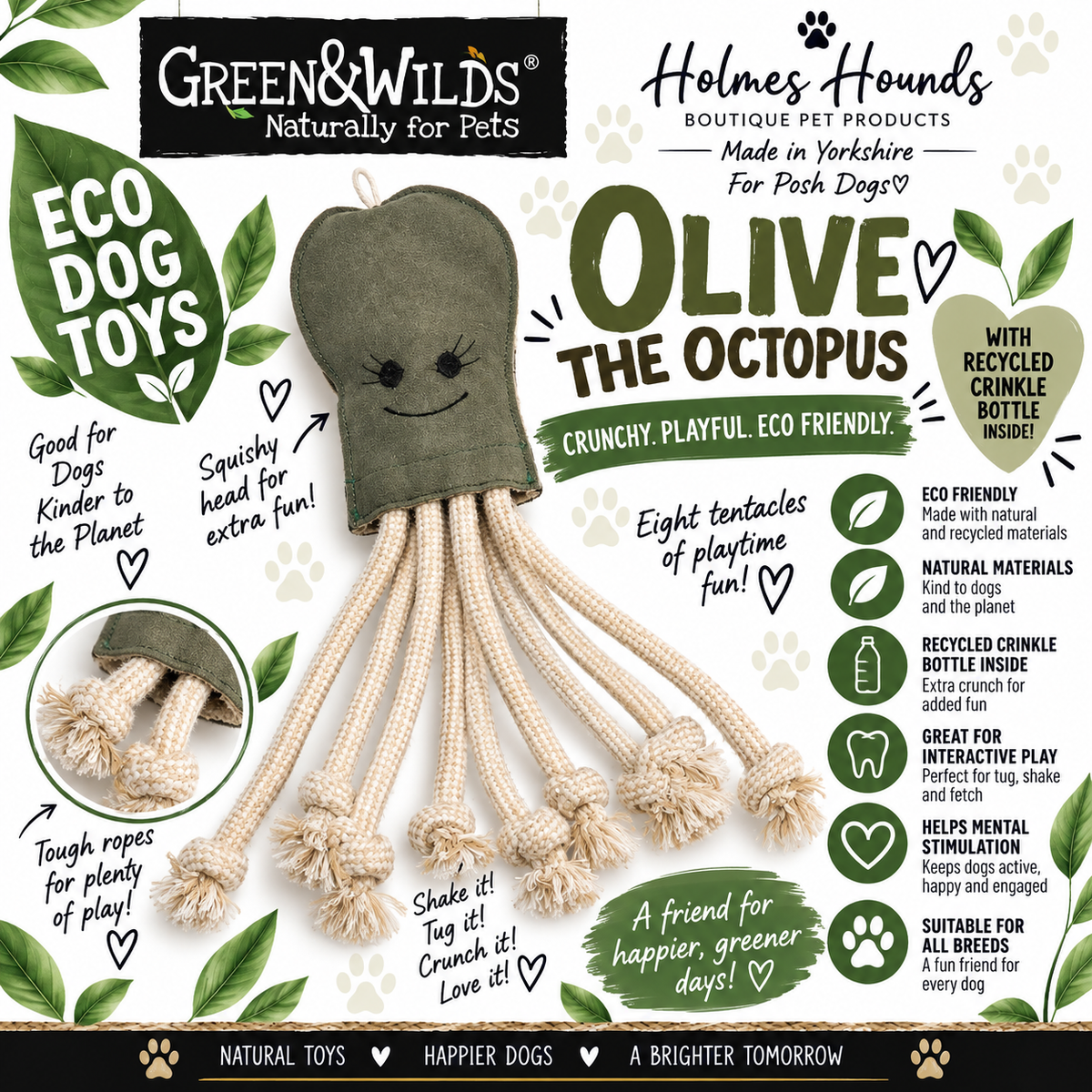 Olive The Octopus