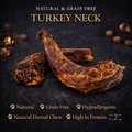 Turkey Necks