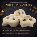 Puffed Pig Snout