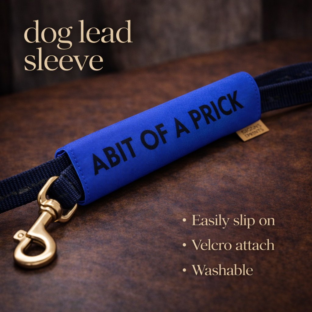 Abit Of A Prick Sleeve