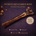 Ostrich Metatarus Bone