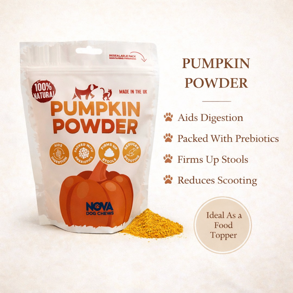 Pumpkin Powder