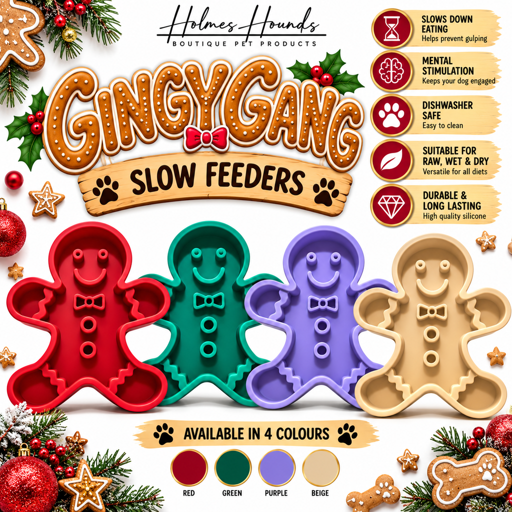 The Gingy Gang Slow Feeers
