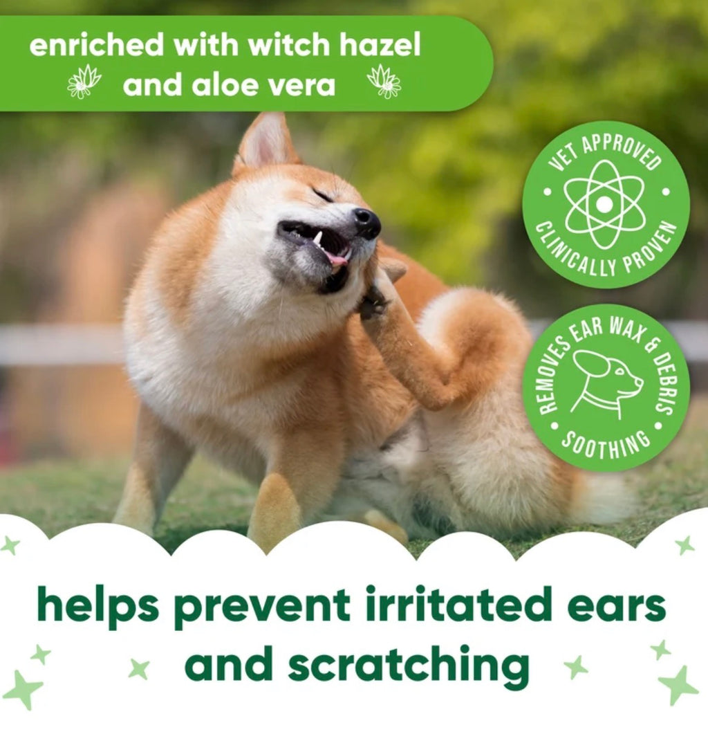 Buddycare Celan ear wipes