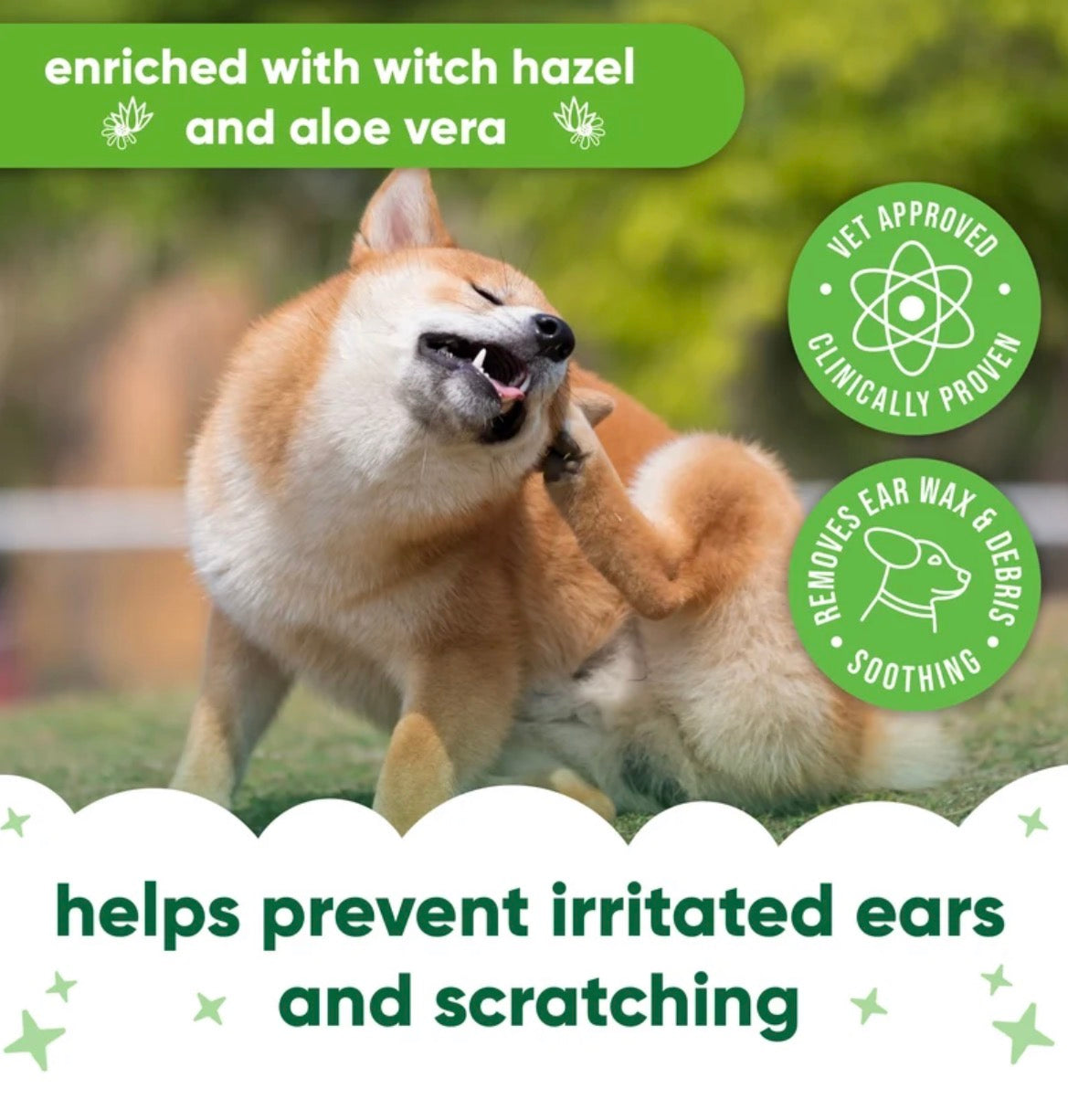 Buddycare Celan ear wipes