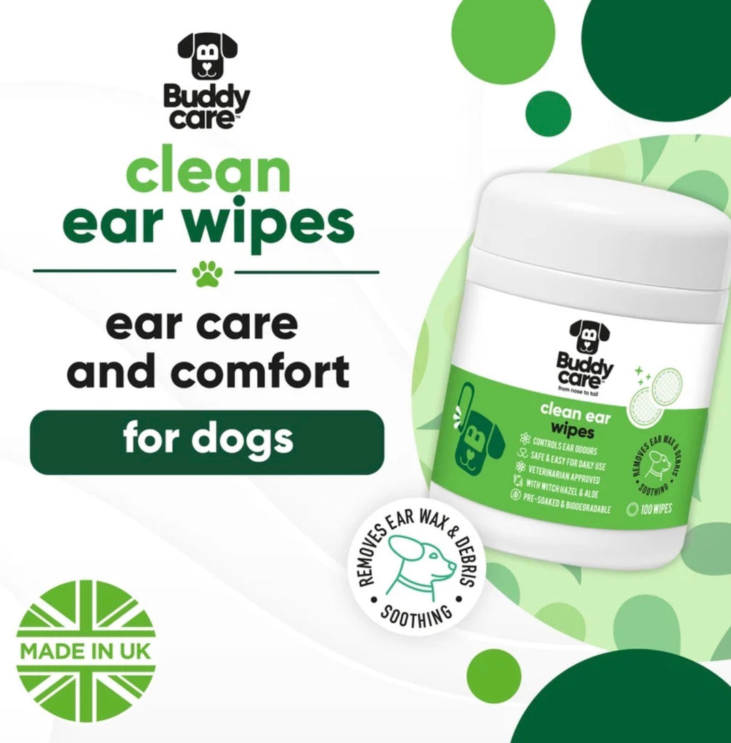 Buddycare Celan ear wipes