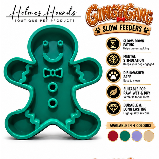 The Gingy Gang Slow Feeers