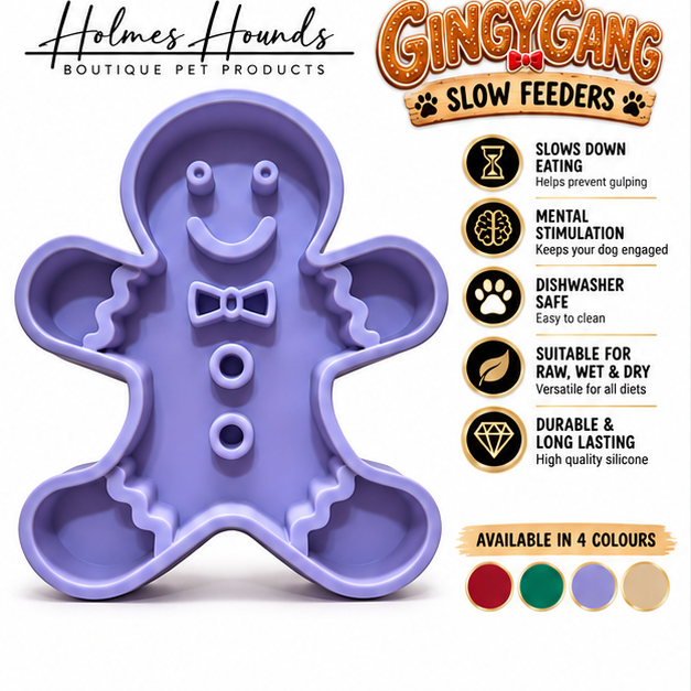 The Gingy Gang Slow Feeers