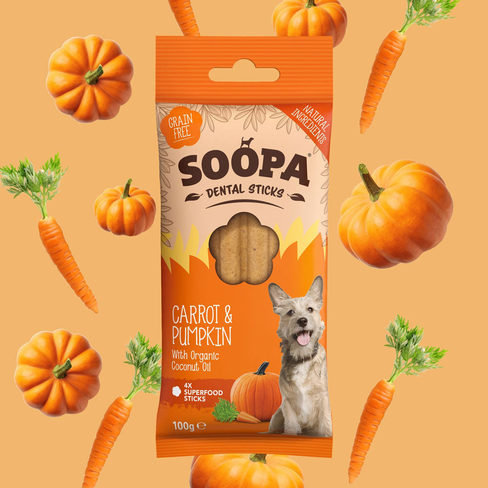 Carrot & Pumpkin Dental Sticks